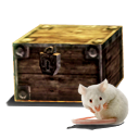 Neue Kiste zur Aufbewahrung der Mäuse