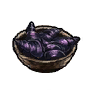 Lieferung Purpurschnecken ~ Purple snail shipment ~ Коробка алых улиток