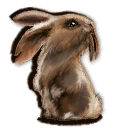 Säbelzahnkaninchen ~ ~ Саблезубый кролик