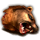 Bärenkopf ~ ~ Голова медведя