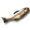 Stinkender Fisch ~ ~ Вонючая рыба